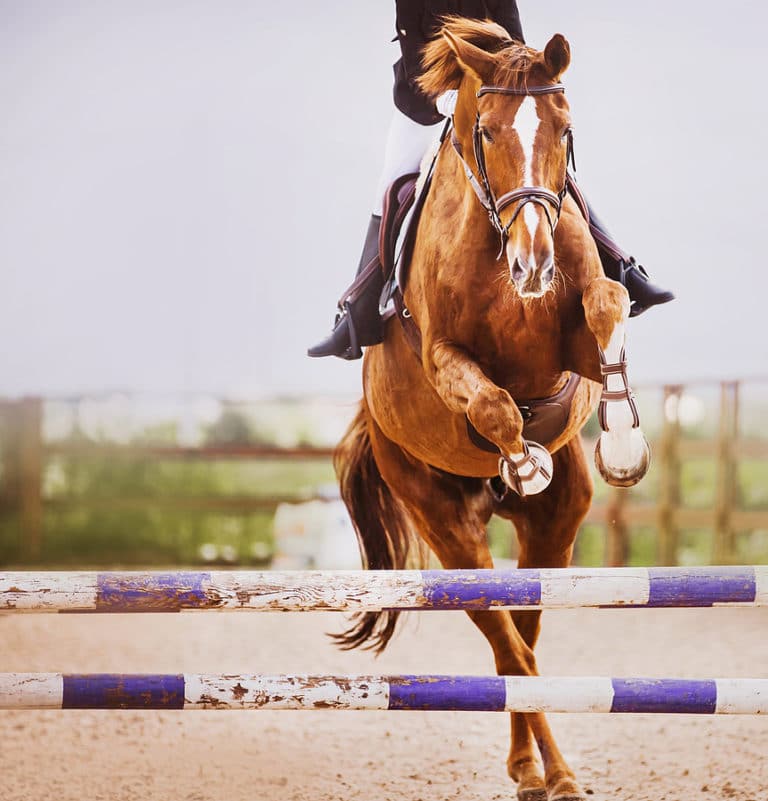 Rent Your RV Now for the Let's Show Halloween Hunter/Jumper Classic